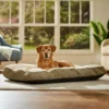 Frisco Pillow Dog Bed W/ Removeable Cover