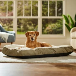 Frisco Pillow Dog Bed W/ Removeable Cover