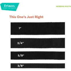 Frisco Solid Nylon Martingale Dog Collar With Buckle -PetPalace Picks 139177 PT6. AC SS1800 V1628869305