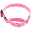 Frisco Solid Nylon Slip-On Martingale Dog Collar