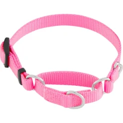 Frisco Solid Nylon Slip-On Martingale Dog Collar