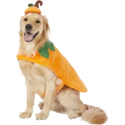 Frisco Pumpkin Dog & Cat Costume -PetPalace Picks 144446 PT2. AC SS1800 V1567174700
