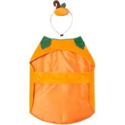 Frisco Pumpkin Dog & Cat Costume -PetPalace Picks 144446 PT5. AC SS1800 V1567177111