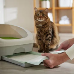 Frisco Cat Litter Pads, Unscented -PetPalace Picks 149816 PT5. AC SS1800 V1675279991