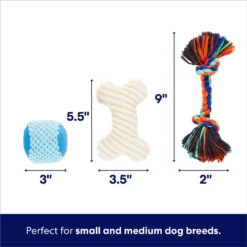 Frisco Chewy Box Hide & Seek Puzzle Plush Squeaky Dog Toy -PetPalace Picks 152808 PT2. AC SS1800 V1695659219