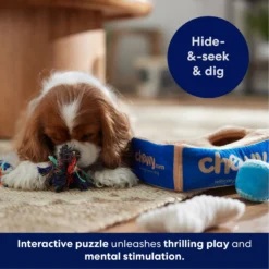 Frisco Chewy Box Hide & Seek Puzzle Plush Squeaky Dog Toy -PetPalace Picks 152808 PT5. AC SS1800 V1695670752