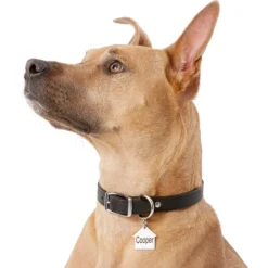 Frisco Stainless Steel Personalized Dog ID Tag, Dog House -PetPalace Picks 153000 PT5. AC SS1800 V1540562239