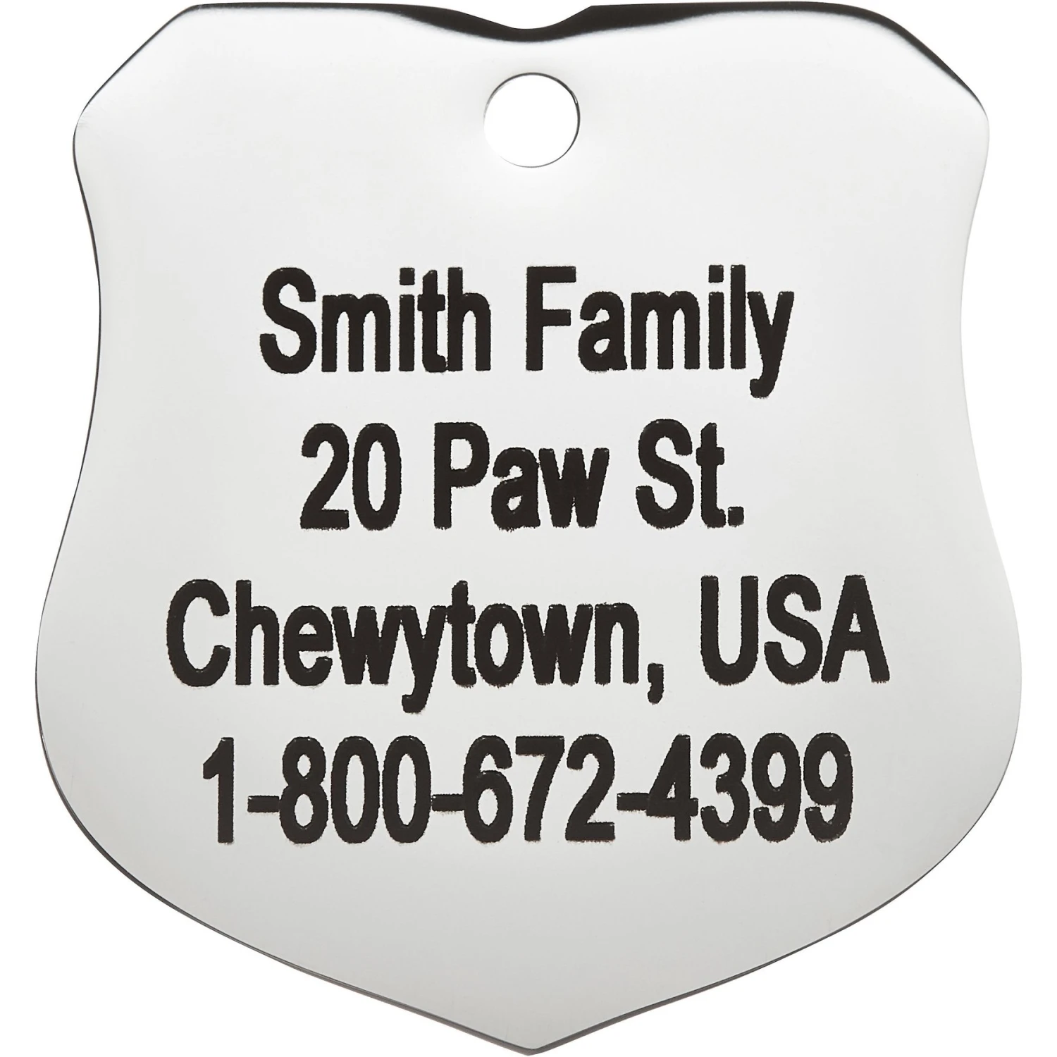 Frisco Stainless Steel Personalized Dog & Cat ID Tag, Badge 4 Frisco Stainless Steel Personalized Dog & Cat ID Tag, Badge - Image 4