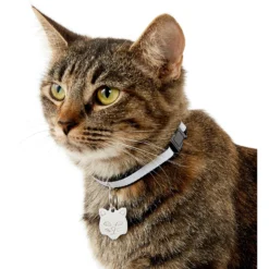 Frisco Stainless Steel Personalized Cat ID Tag, Cat -PetPalace Picks 153043 PT5. AC SS1800 V1540560131
