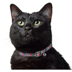 Frisco Rose Polyester Breakaway Cat Collar With Bell -PetPalace Picks 153160 PT3. AC SS1800 V1701796877