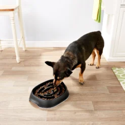 Frisco Non-Skid Slow Feeder Dog & Small Pet Bowl 10 Frisco Non-Skid Slow Feeder Dog & Small Pet Bowl -PetPalace Picks 155648 PT4. AC SS1800 V1553538724