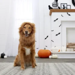 Frisco Lion Mane Dog & Cat Costume -PetPalace Picks 158732 PT7. AC SS1800 V1691686202