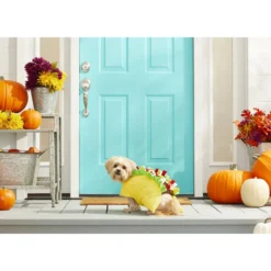 Frisco Taco Dog & Cat Costume -PetPalace Picks 158826 PT3. AC SS1800 V1567175798