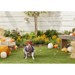 Frisco Front Walking Cowboy Dog & Cat Costume -PetPalace Picks 158842 PT3. AC SS1800 V1567176047