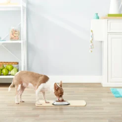 Frisco Non-Skid Stainless Steel Bowl -PetPalace Picks 159860 PT3. AC SS1800 V1570543131