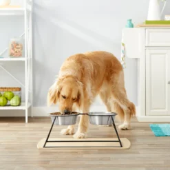 Frisco Pyramid Elevated Stainless Steel Double Diner Dog & Cat Bowl -PetPalace Picks 159884 PT3. AC SS1800 V1561123346