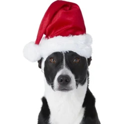 Frisco Holiday Dog & Cat Santa Hat, 1 Count -PetPalace Picks 160054 PT2. AC SS1800 V1669100718