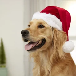 Frisco Holiday Dog & Cat Santa Hat, 1 Count -PetPalace Picks 160054 PT4. AC SS1800 V1637650626
