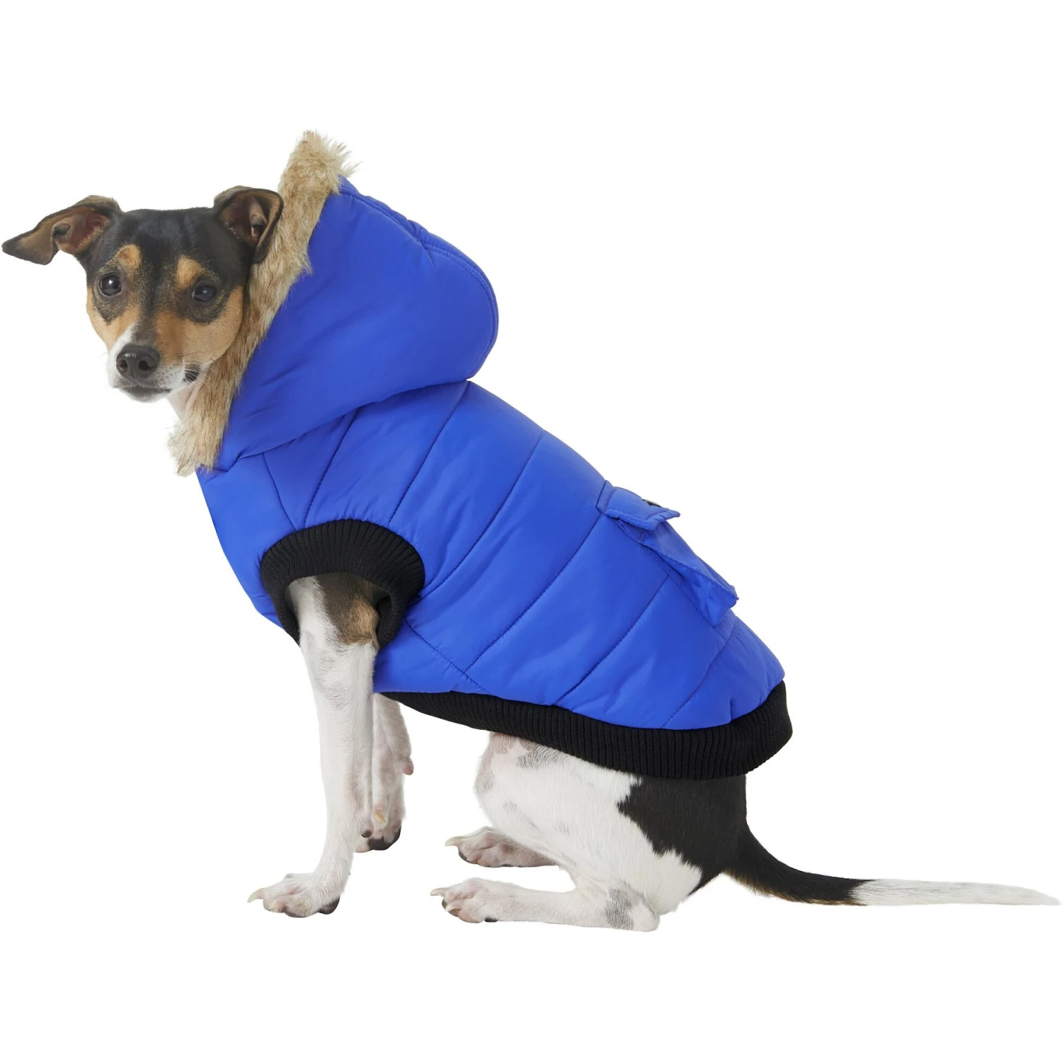 Frisco Heavyweight Anchorage Insulated Dog & Cat Parka 1 Frisco Heavyweight Anchorage Insulated Dog & Cat Parka