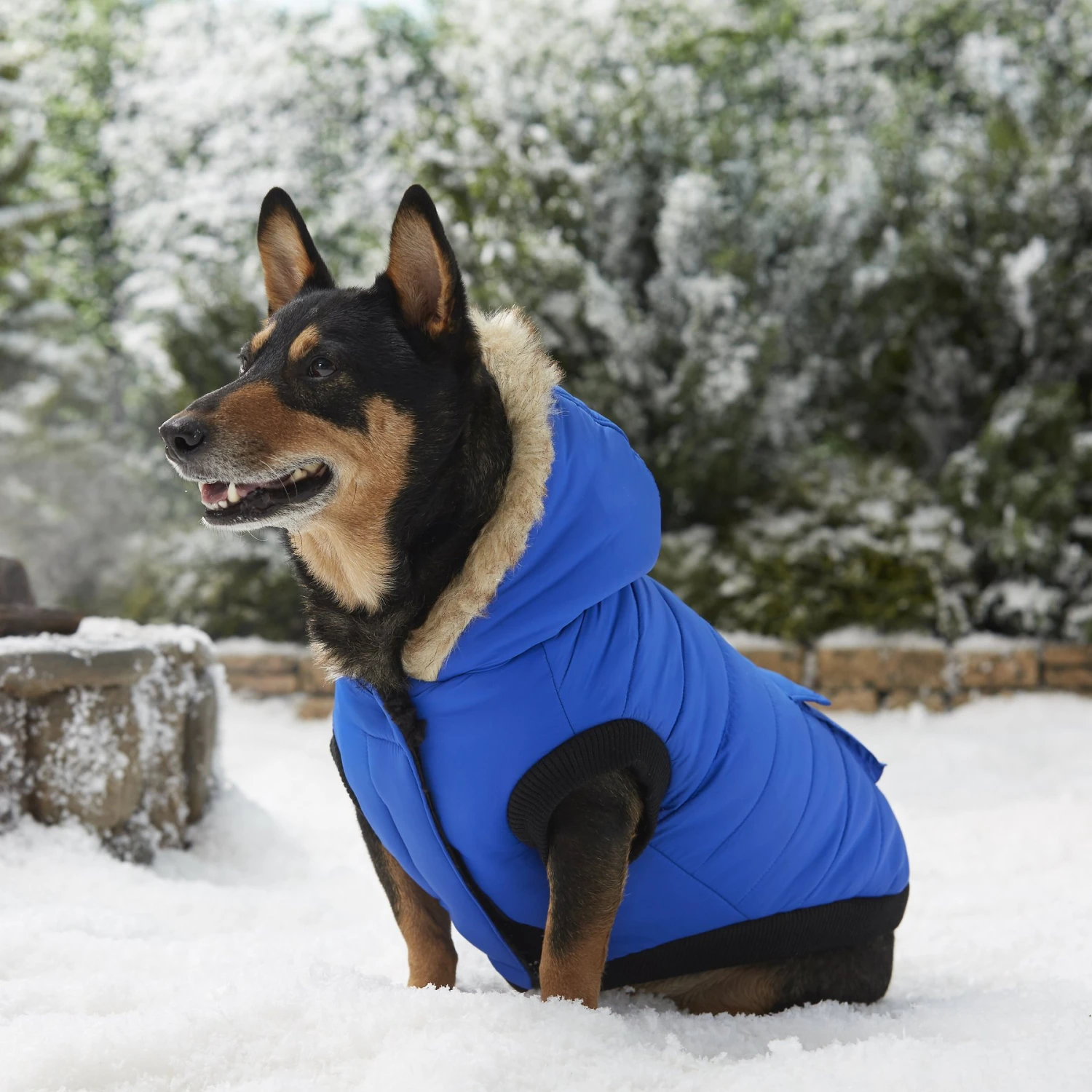 Frisco Heavyweight Anchorage Insulated Dog & Cat Parka 8 Frisco Heavyweight Anchorage Insulated Dog & Cat Parka - Image 8