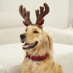 Frisco Holiday Antler Headband & Bell Collar Dog & Cat Costume 8 Frisco Holiday Antler Headband & Bell Collar Dog & Cat Costume -PetPalace Picks 160658 PT4. AC SS1800 V1568818037