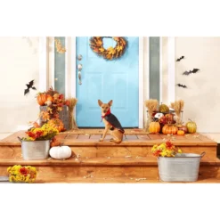 Frisco Vampire Cape Dog & Cat Costume -PetPalace Picks 160793 PT3. AC SS1800 V1567176564