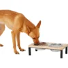 Frisco Wood Elevated Stainless Steel Double Diner Dog & Cat Bowl