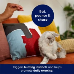 Frisco Cardboard & Wire Teaser Cat Toy -PetPalace Picks 161194 PT3. AC SS1800 V1686579092