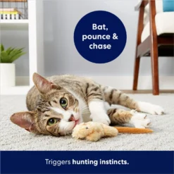 Frisco Skinny Mouse Plush Cat Toy With Catnip -PetPalace Picks 161268 PT5. AC SS1800 V1686578718