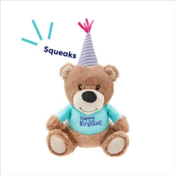 Frisco Birthday Bear Plush Squeaky Dog Toy -PetPalace Picks 162836 PT2. AC SS1800 V1695659146