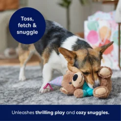 Frisco Birthday Bear Plush Squeaky Dog Toy -PetPalace Picks 162836 PT4. AC SS1800 V1695670999