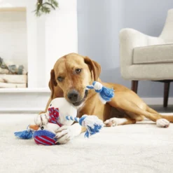 Frisco Holiday Snowman Plush With Rope Squeaky Dog Toy -PetPalace Picks 164645 PT2. AC SS1800 V1568910233