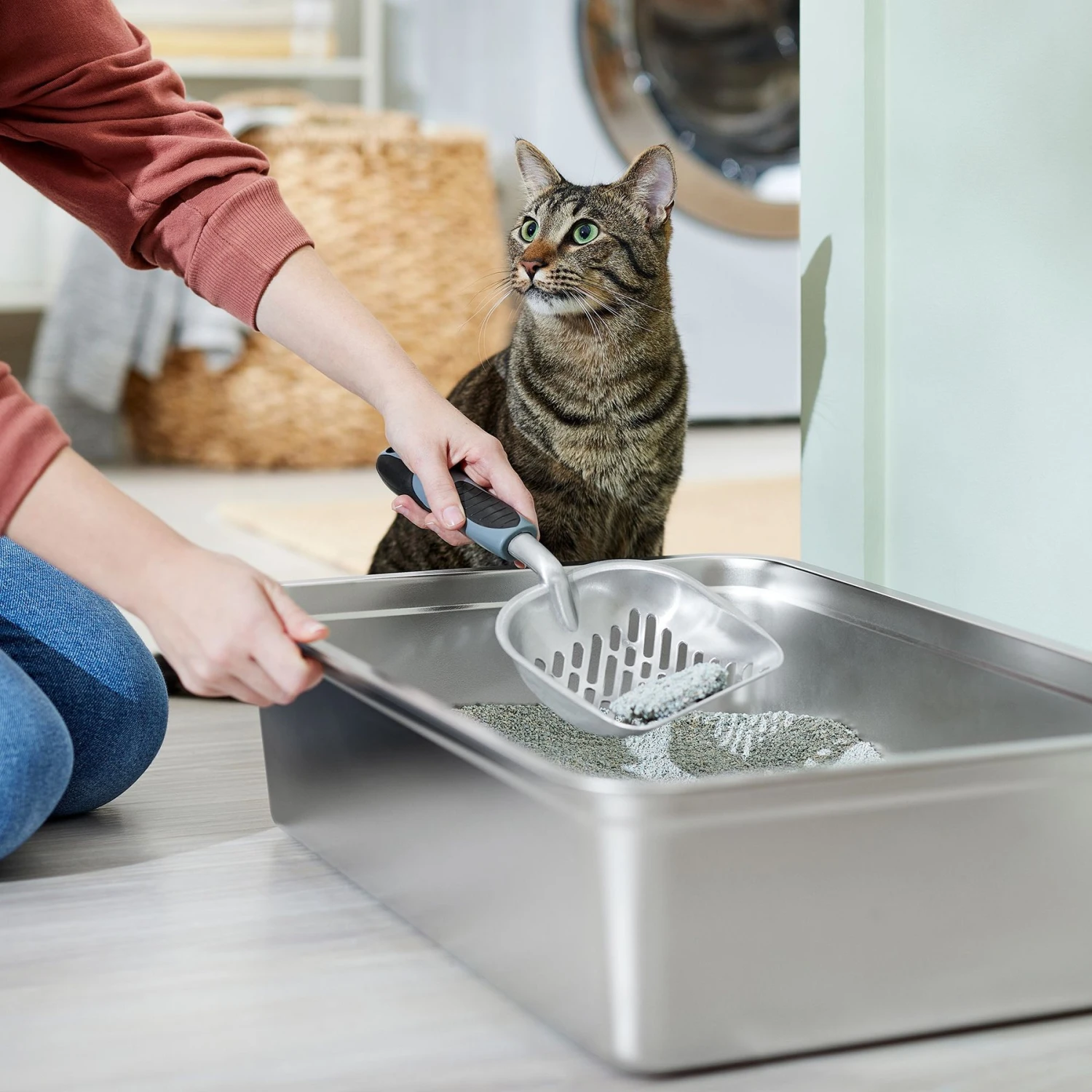 Frisco Litter Scooper 1 Frisco Litter Scooper