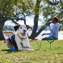 Frisco Easy Grip Stake With Tie Out Cable, Large -PetPalace Picks 166447 PT5. AC SS1800 V1701796826