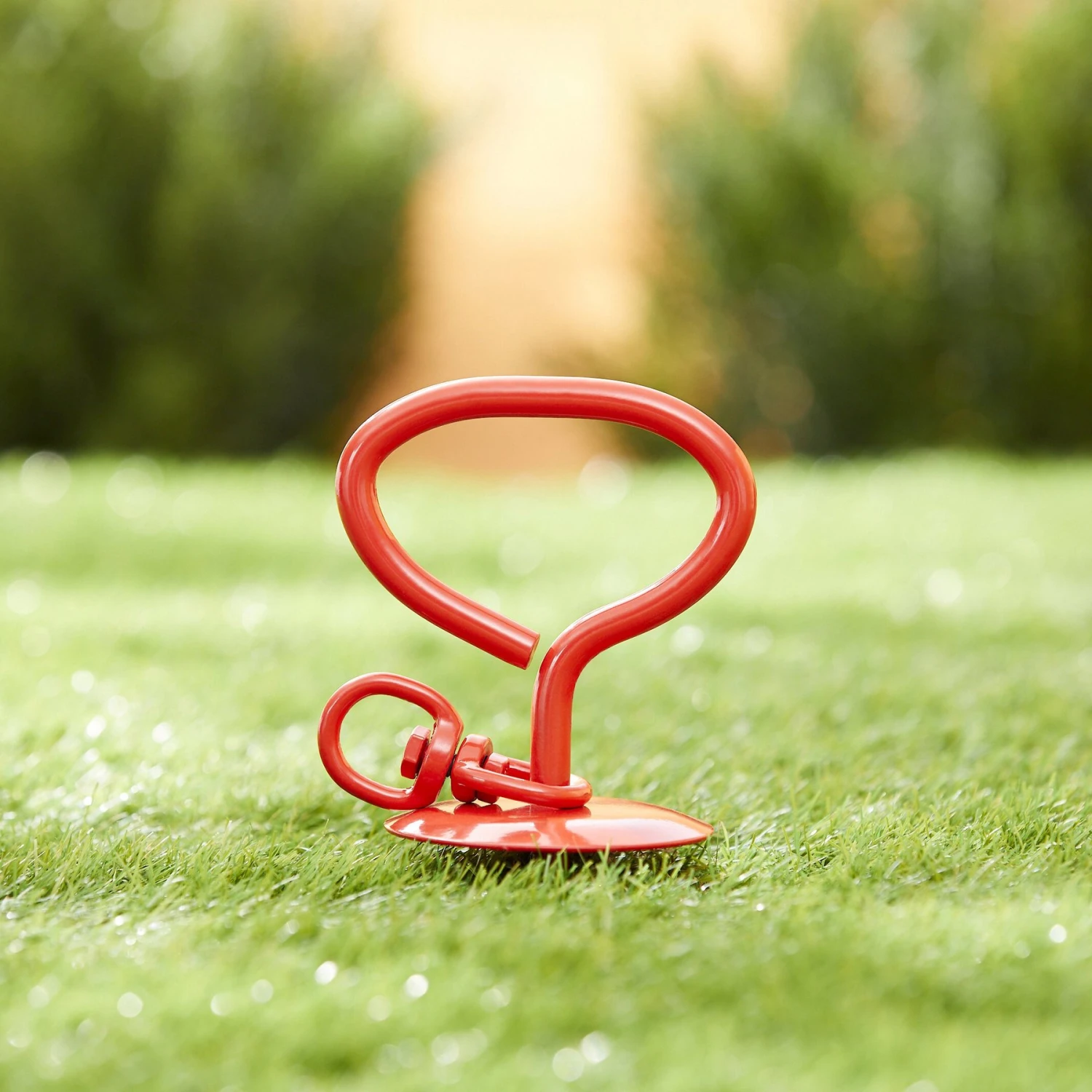 Frisco Dome Stake 2 Frisco Dome Stake - Image 2