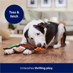 Frisco Mallard Stuffing-Free Flat Plush Squeaky Dog Toy 10 Frisco Mallard Stuffing-Free Flat Plush Squeaky Dog Toy -PetPalace Picks 174731 PT5. AC SS1800 V1686579082