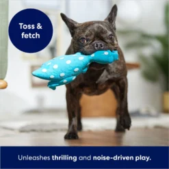 Frisco Dinosaur Latex Squeaky Dog Toy 8 Frisco Dinosaur Latex Squeaky Dog Toy -PetPalace Picks 174770 PT3. AC SS1800 V1686579138