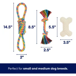 Frisco Jungle Pals Plush & Rope Variety Pack Dog Toy 7 Frisco Jungle Pals Plush & Rope Variety Pack Dog Toy -PetPalace Picks 177819 PT2. AC SS1800 V1686579629