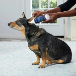 Frisco Advanced Ear Cleaner For Dogs & Cats, 8-oz Bottle -PetPalace Picks 178703 PT3. AC SS1800 V1581460105