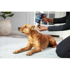 Frisco Anti-Bacterial And Anti-Fungal Ear Flush Cleaner For Cats & Dogs, 12-oz Bottle -PetPalace Picks 178705 PT3. AC SS1800 V1582124328