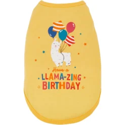 Frisco Llama-zing Birthday Dog & Cat T-Shirt -PetPalace Picks 191240 PT2. AC SS1800 V1582053523