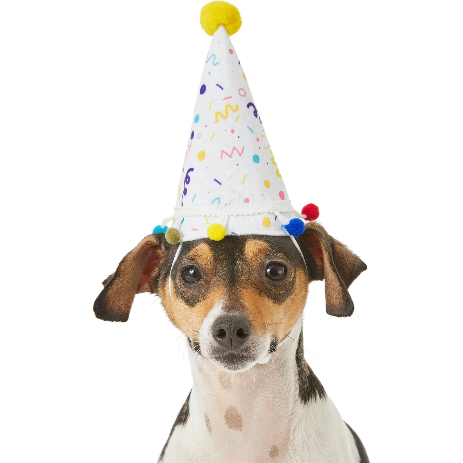 Frisco Confetti Dog & Cat Birthday Hat 1 Frisco Confetti Dog & Cat Birthday Hat