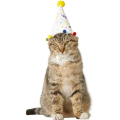 Frisco Confetti Dog & Cat Birthday Hat 8 Frisco Confetti Dog & Cat Birthday Hat -PetPalace Picks 191274 PT2. AC SS1800 V1582053206