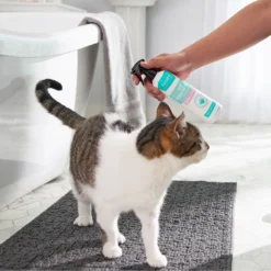 Frisco Aloe Hydrating Dog & Cat Spray, Sweet Nectar Scent 7 Frisco Aloe Hydrating Dog & Cat Spray, Sweet Nectar Scent -PetPalace Picks 192084 PT4. AC SS1800 V1589487682