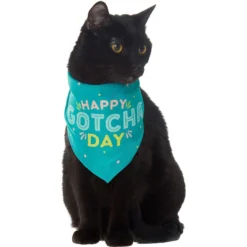 Frisco Happy Gotcha Day Dog & Cat Bandana 8 Frisco Happy Gotcha Day Dog & Cat Bandana -PetPalace Picks 200538 PT2. AC SS1800 V1633057623