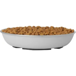 Frisco Saucer Cat Bowl -PetPalace Picks 204463 PT2. AC SS1800 V1598449872
