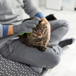 Frisco Dog & Cat Grooming Glove, Right Hand 13 Frisco Dog & Cat Grooming Glove, Right Hand -PetPalace Picks 206845 PT6. AC SS1800 V1610762805