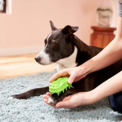 Frisco Bone Dog Curry Brush 6 Frisco Bone Dog Curry Brush -PetPalace Picks 206851 PT4. AC SS1800 V1680186155