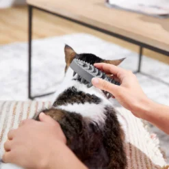 Frisco Cat Curry Brush 8 Frisco Cat Curry Brush -PetPalace Picks 206853 PT6. AC SS1800 V1680186158