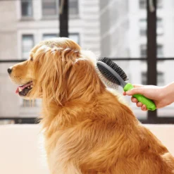 Frisco Cat & Dog Pin Bristle Brush -PetPalace Picks 206855 PT6. AC SS1800 V1680186157